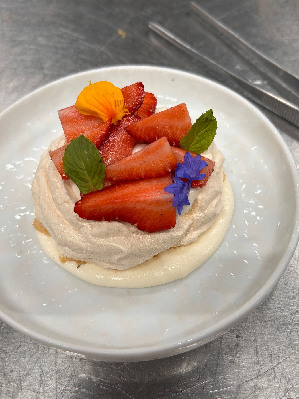 IMG_7824.jpeg IMG_7824.jpeg