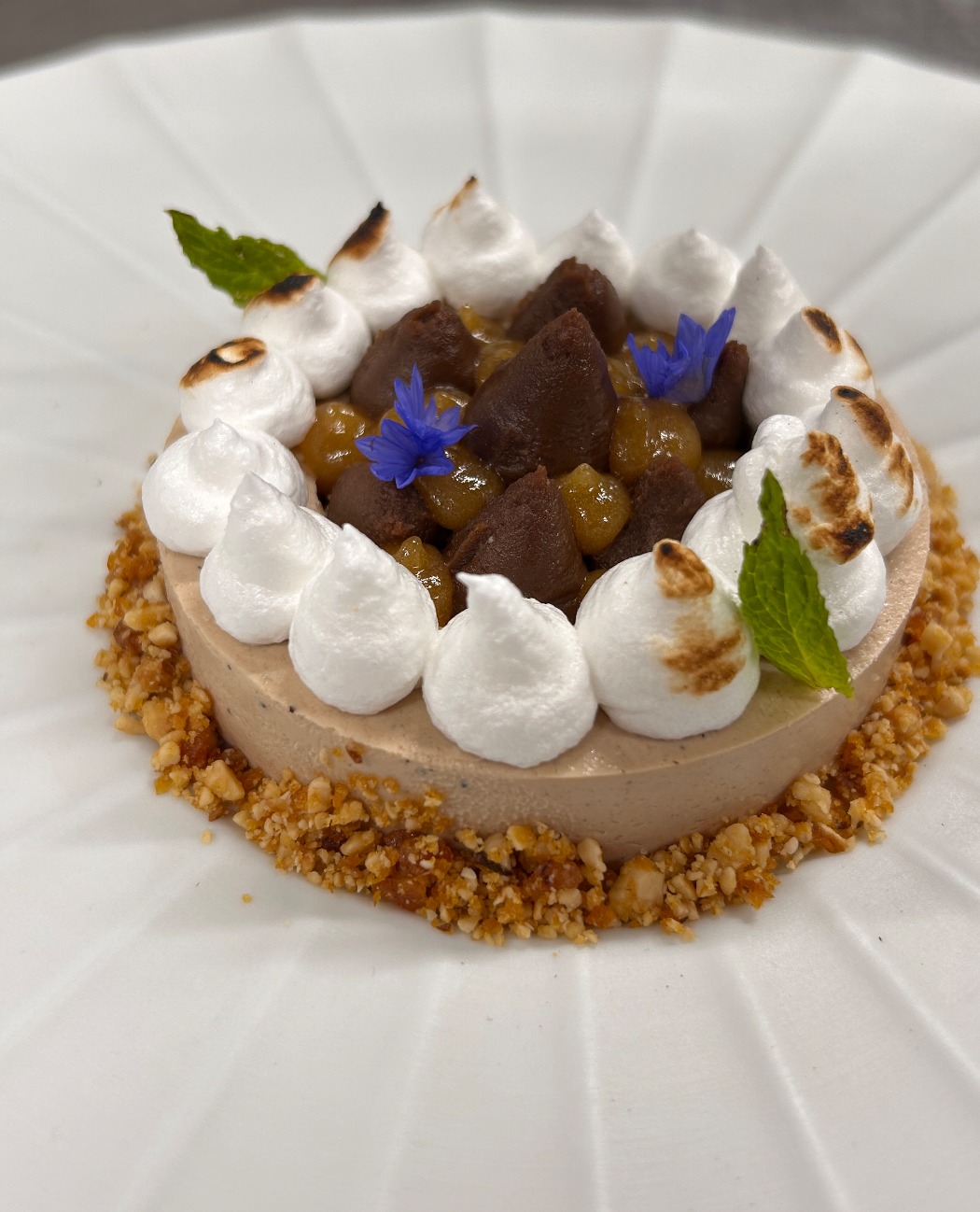 IMG_7582.jpeg IMG_7582.jpeg