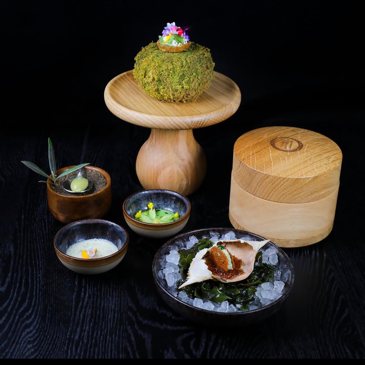 IMG_6540.jpeg IMG_6540.jpeg