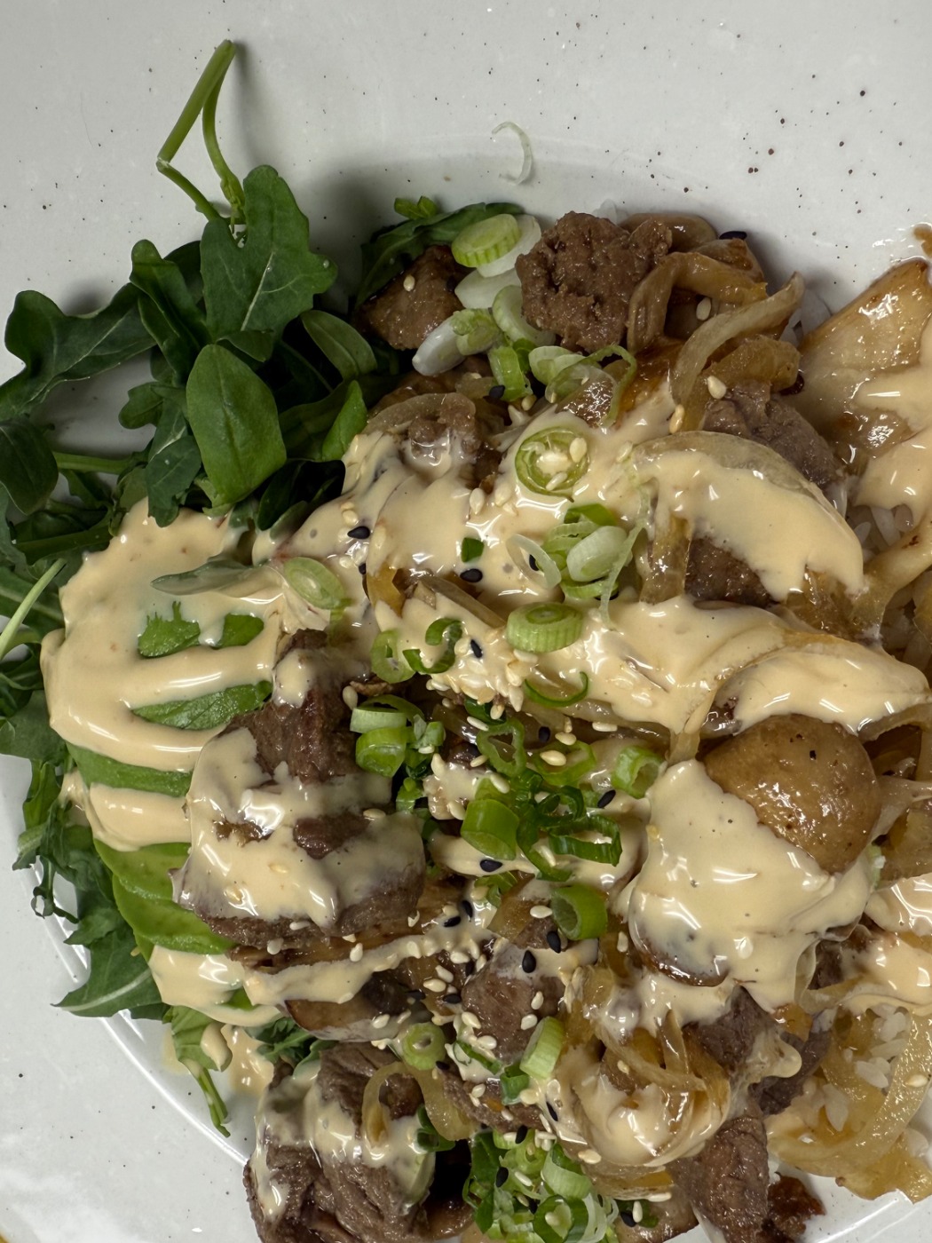 IMG_2619.jpeg IMG_2619.jpeg