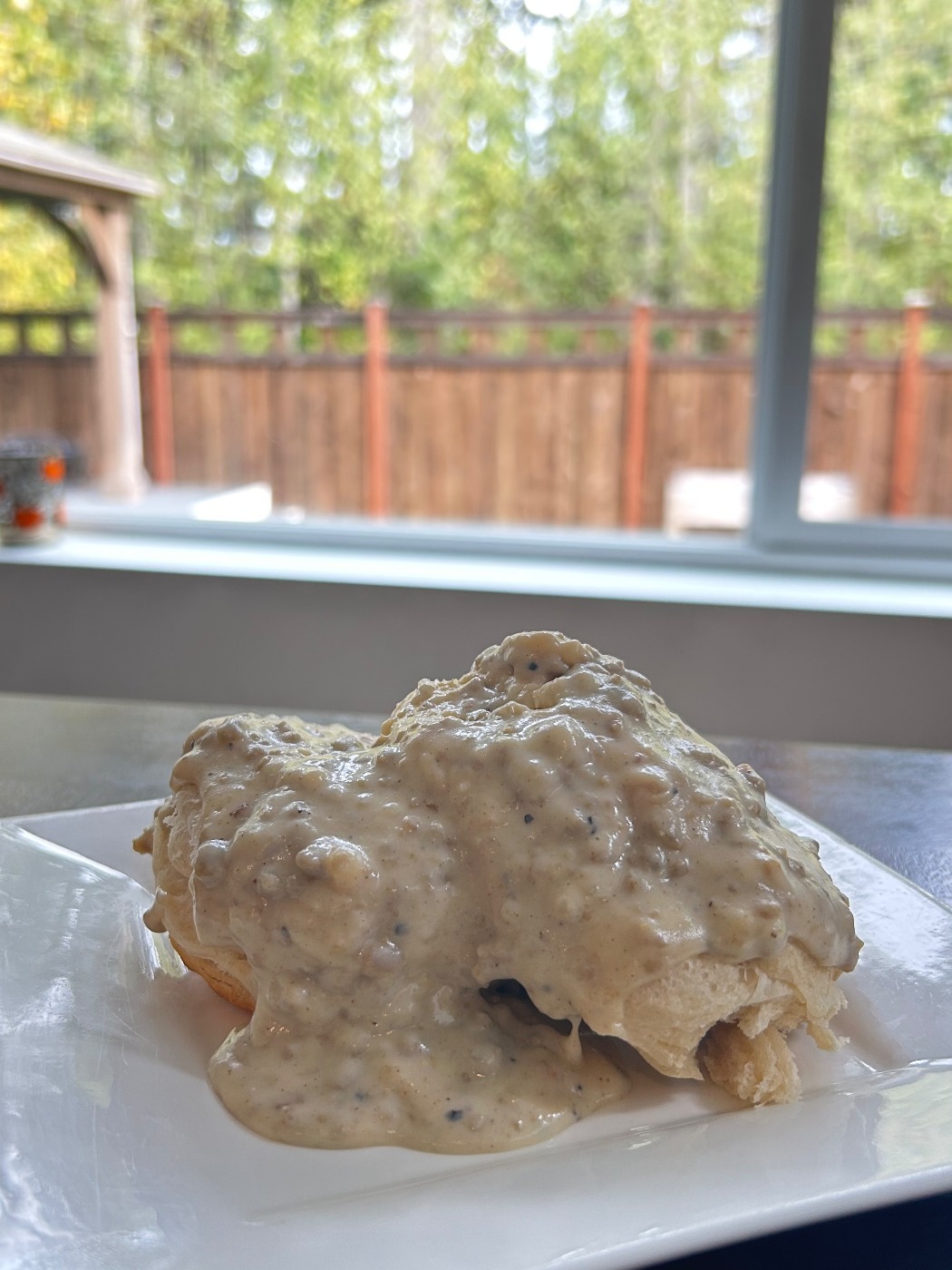 IMG_1043.jpeg IMG_1043.jpeg