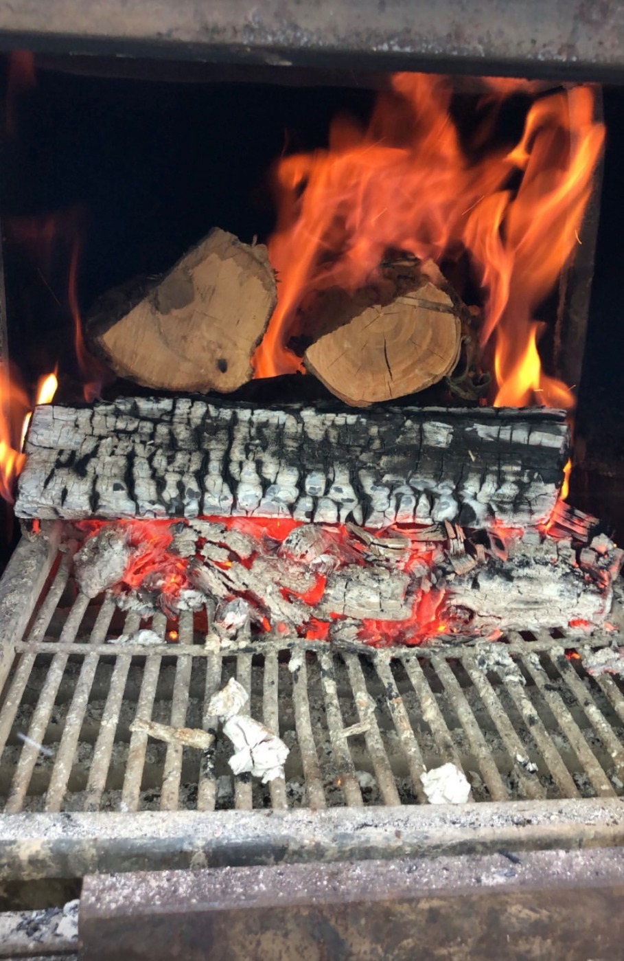 IMG_0670.jpeg IMG_0670.jpeg