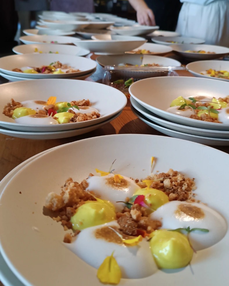 IMG_20250802_160432.jpg IMG_20250802_160432.jpg