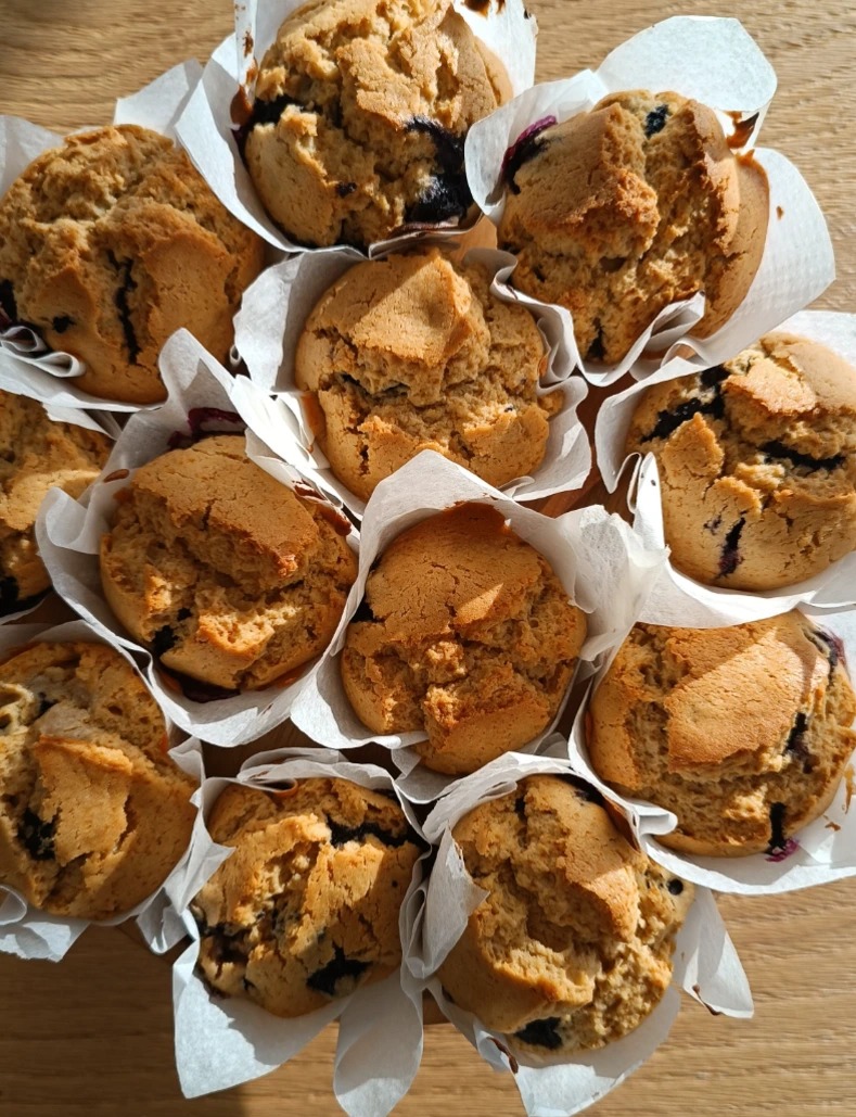 IMG_20240824_185614.jpg IMG_20240824_185614.jpg