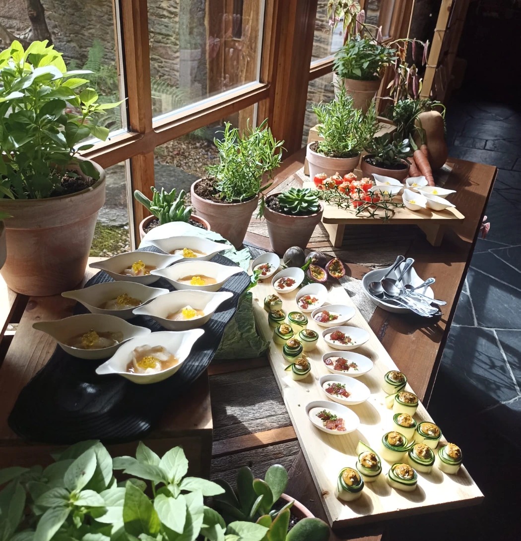 IMG-20250921-WA0040.jpg IMG-20250921-WA0040.jpg