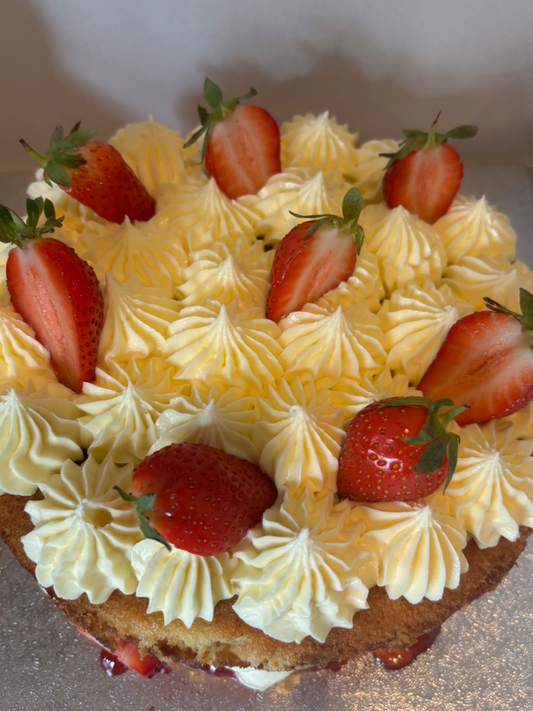 IMG_5436.jpeg IMG_5436.jpeg