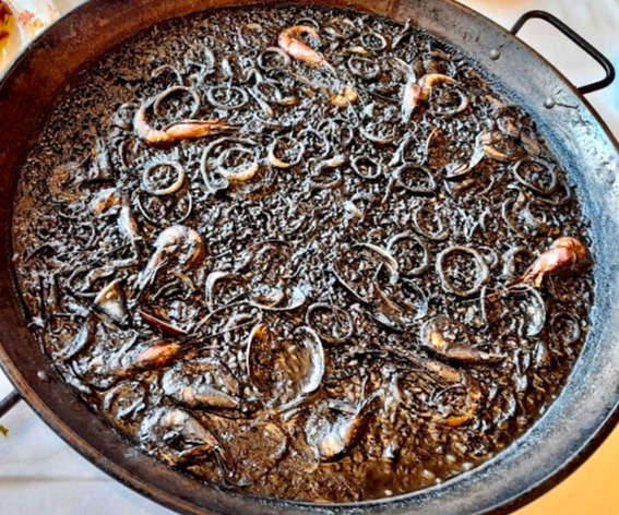 IMG_8883.jpeg IMG_8883.jpeg