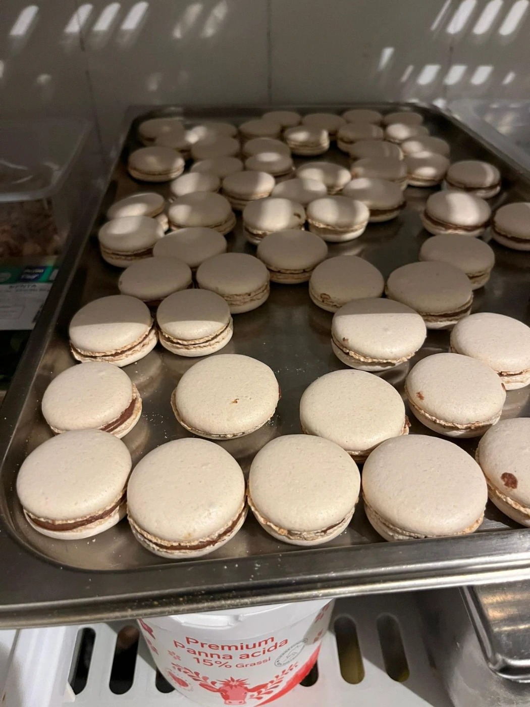 Immagine WhatsApp 2025-11-01 ore 20.20.16_8744691a.jpg Immagine WhatsApp 2025-11-01 ore 20.20.16_8744691a.jpg