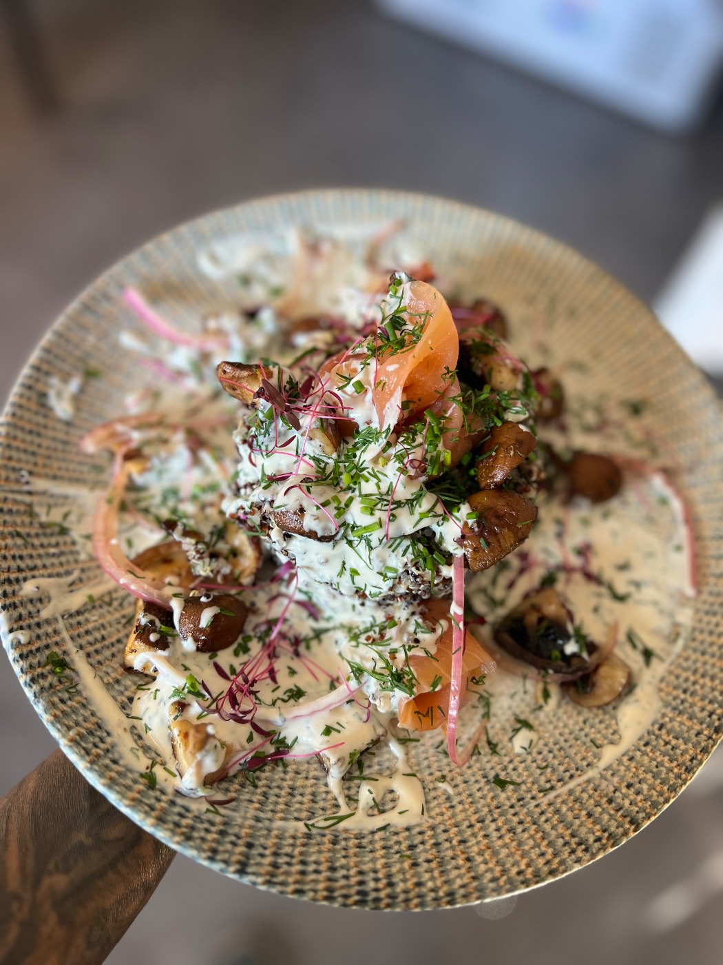 IMG_0413.jpeg IMG_0413.jpeg