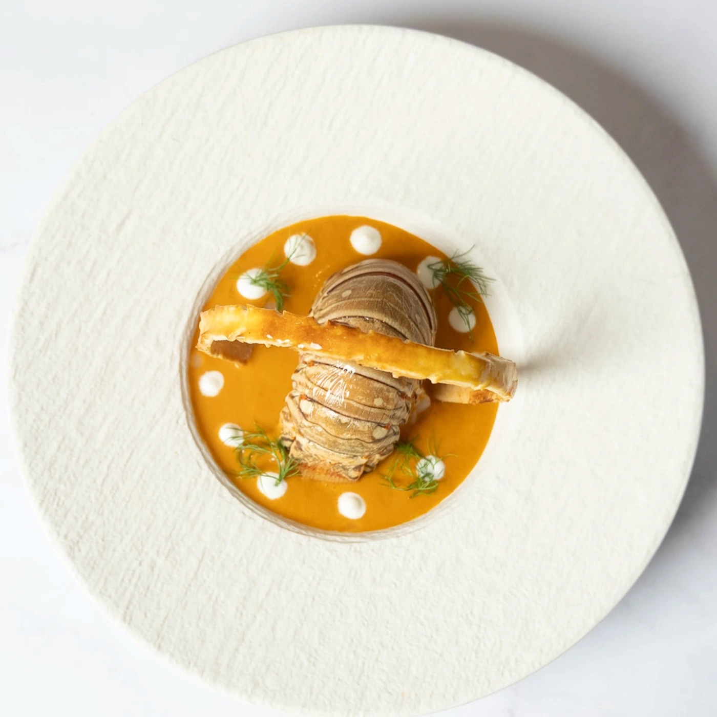 Lobster bisque Top View (6).jpg