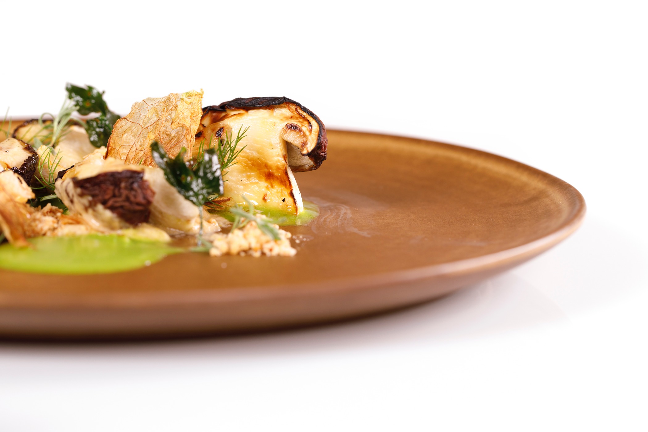 15.Porcini_R5A8166_Ph © Giorgio Salvatori.jpg