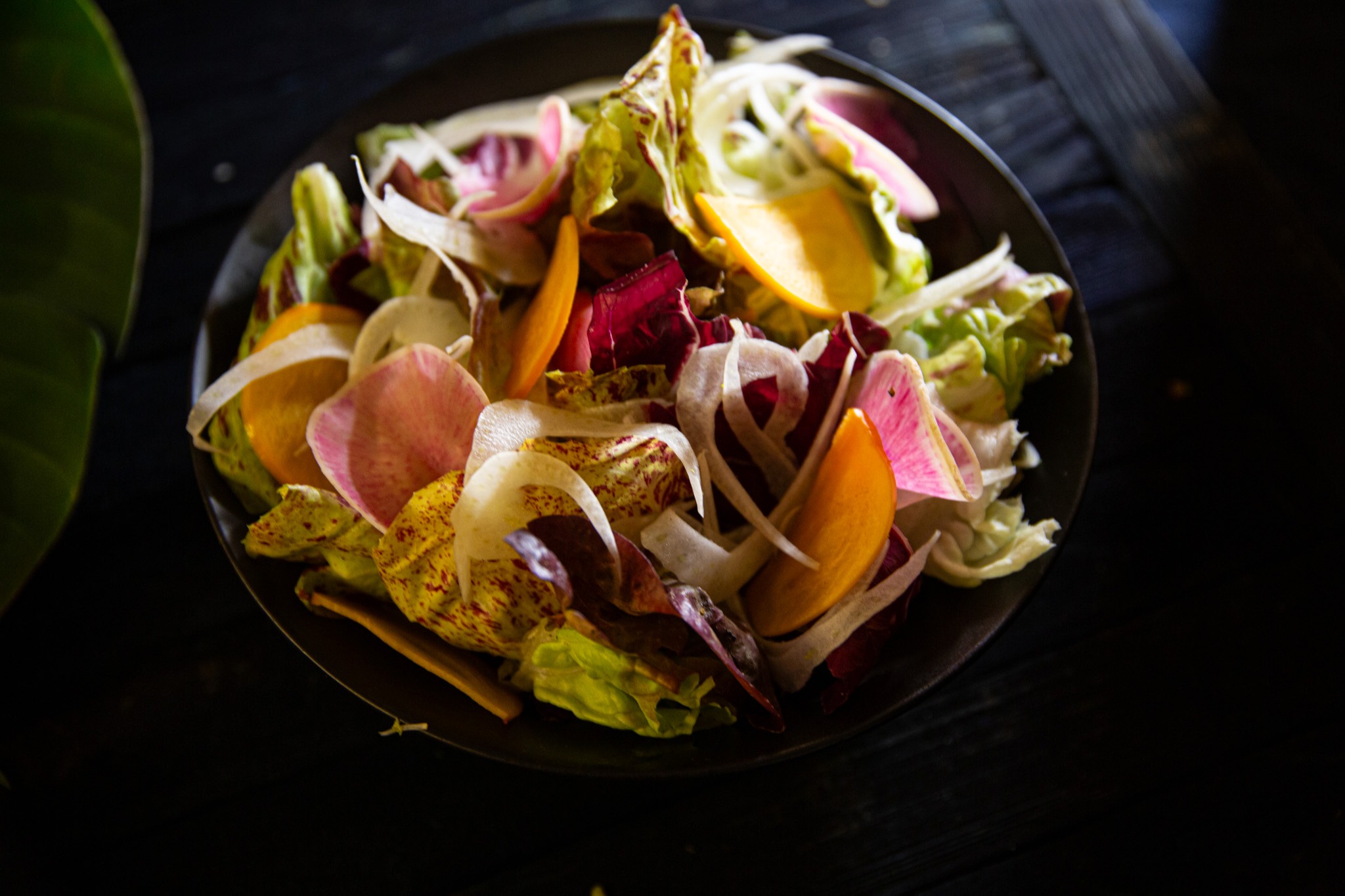 Untitled-134.jpg Untitled-134.jpg