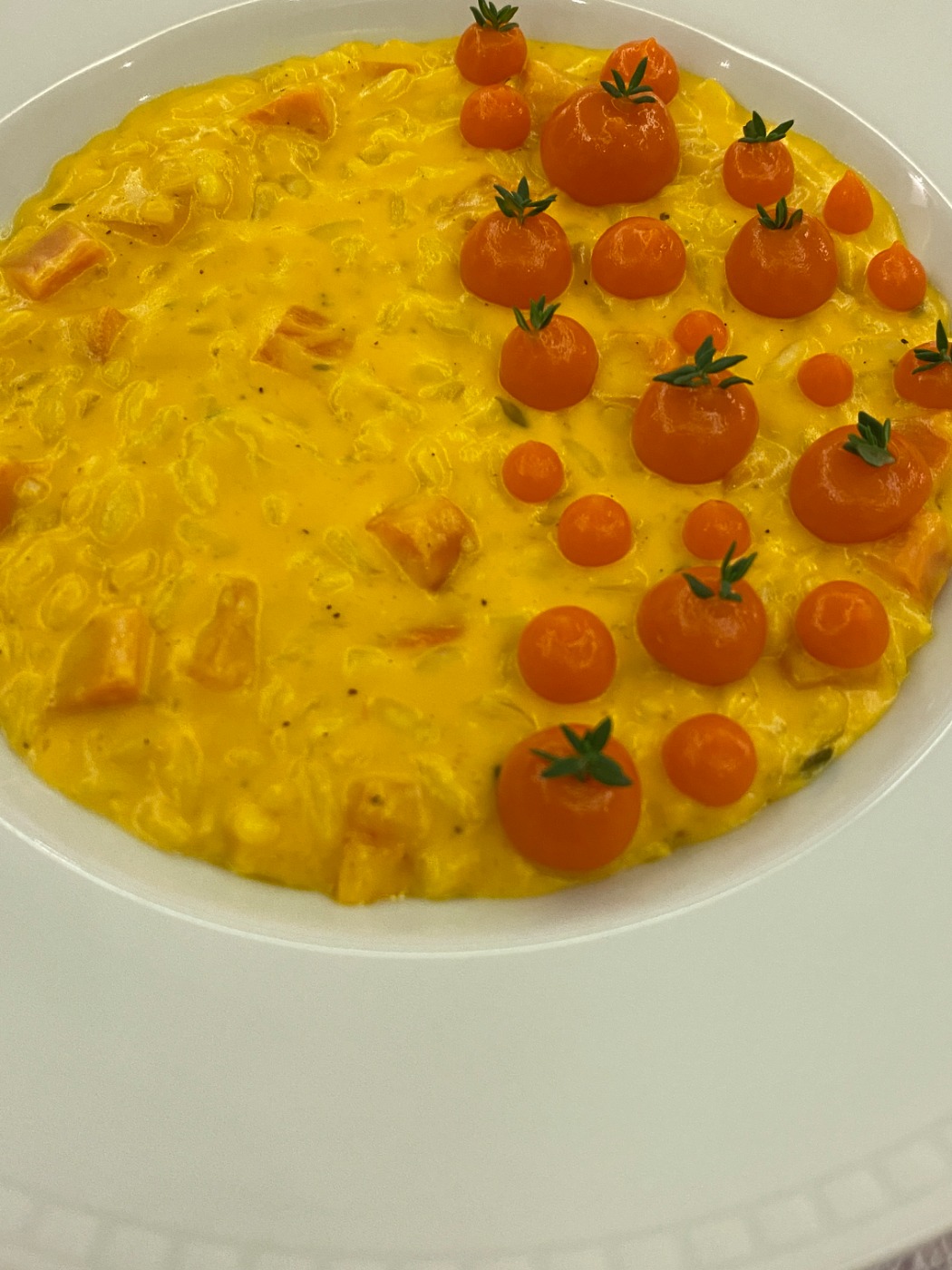 IMG_2241.jpeg IMG_2241.jpeg