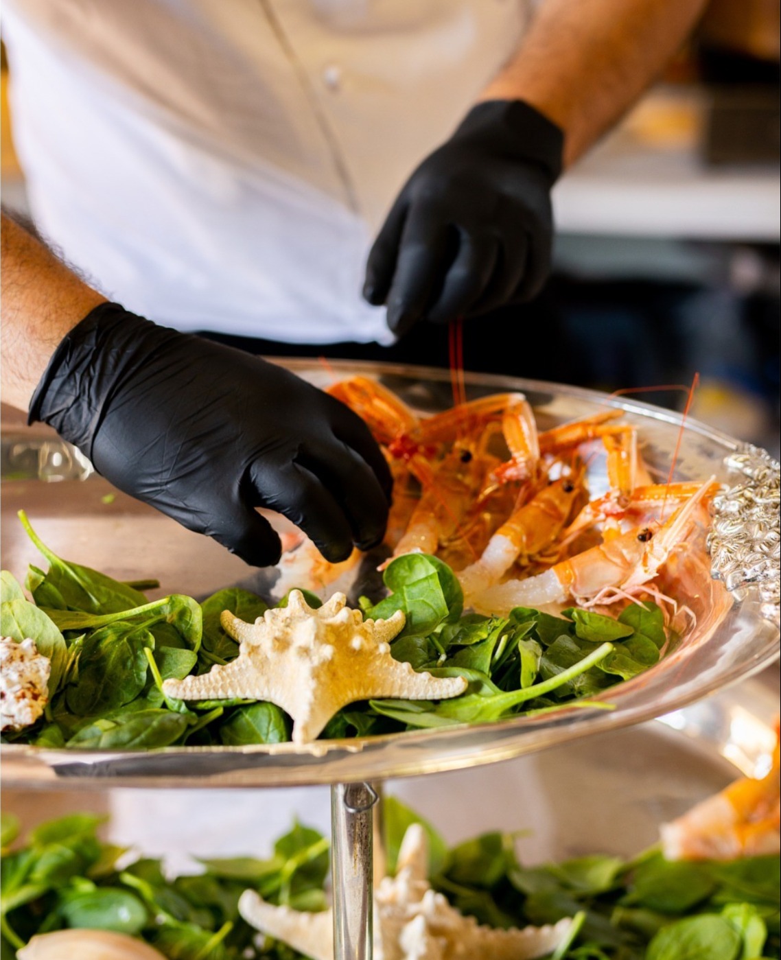 IMG_1461.jpeg IMG_1461.jpeg