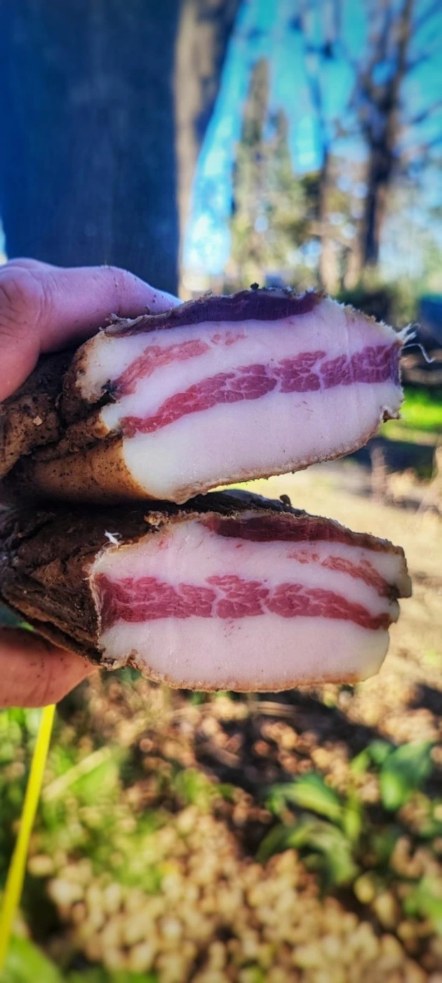 IMG-20250926-WA0038.jpg IMG-20250926-WA0038.jpg