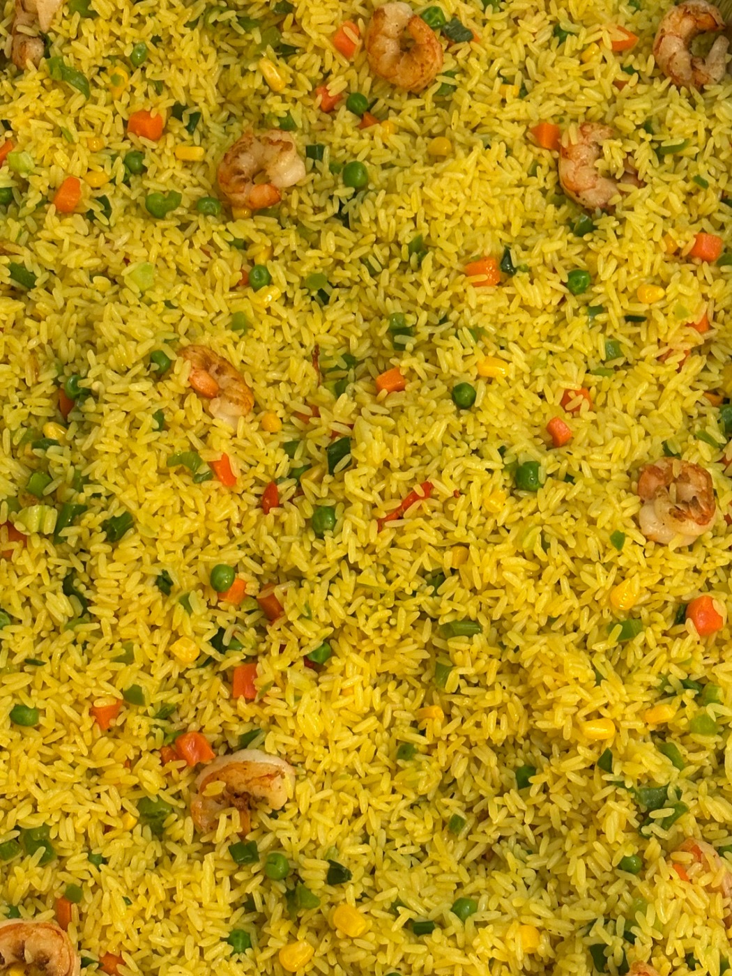 IMG_0955.jpeg IMG_0955.jpeg