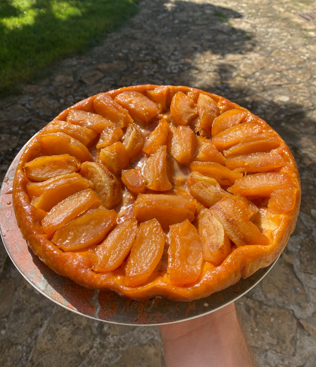 IMG_7357.jpeg IMG_7357.jpeg