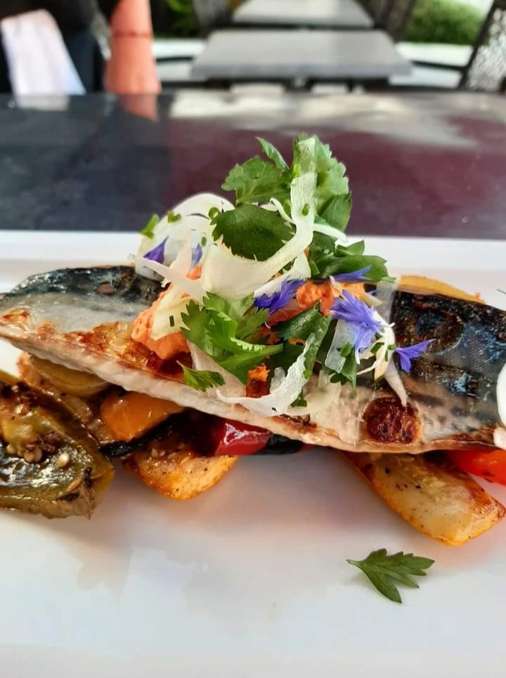 FB_IMG_1704782952012.jpg FB_IMG_1704782952012.jpg