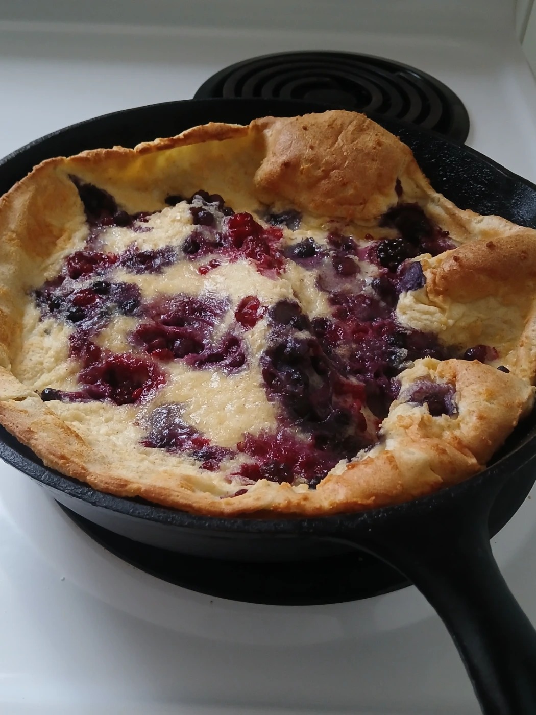 1000004290.jpg 1000004290.jpg