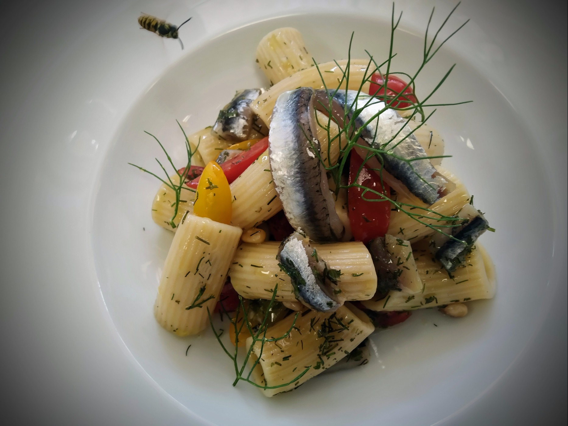 IMG_20210805_111225 Copy.jpeg IMG_20210805_111225 Copy.jpeg