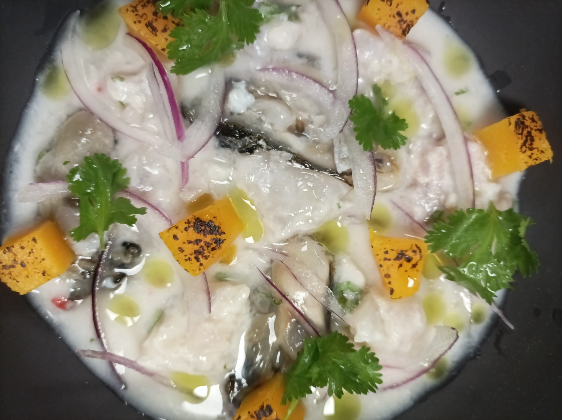 IMG_20241013_114645.jpg IMG_20241013_114645.jpg