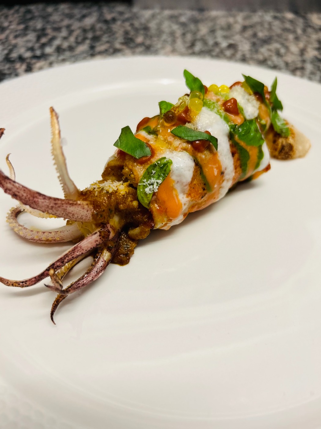 IMG_0381.jpeg IMG_0381.jpeg