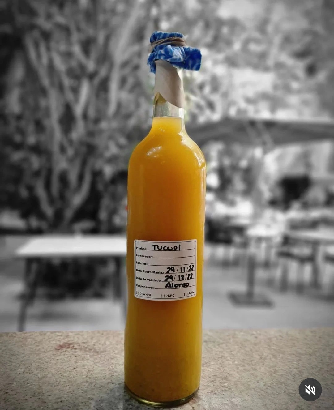 IMG_20240917_225349.jpg IMG_20240917_225349.jpg