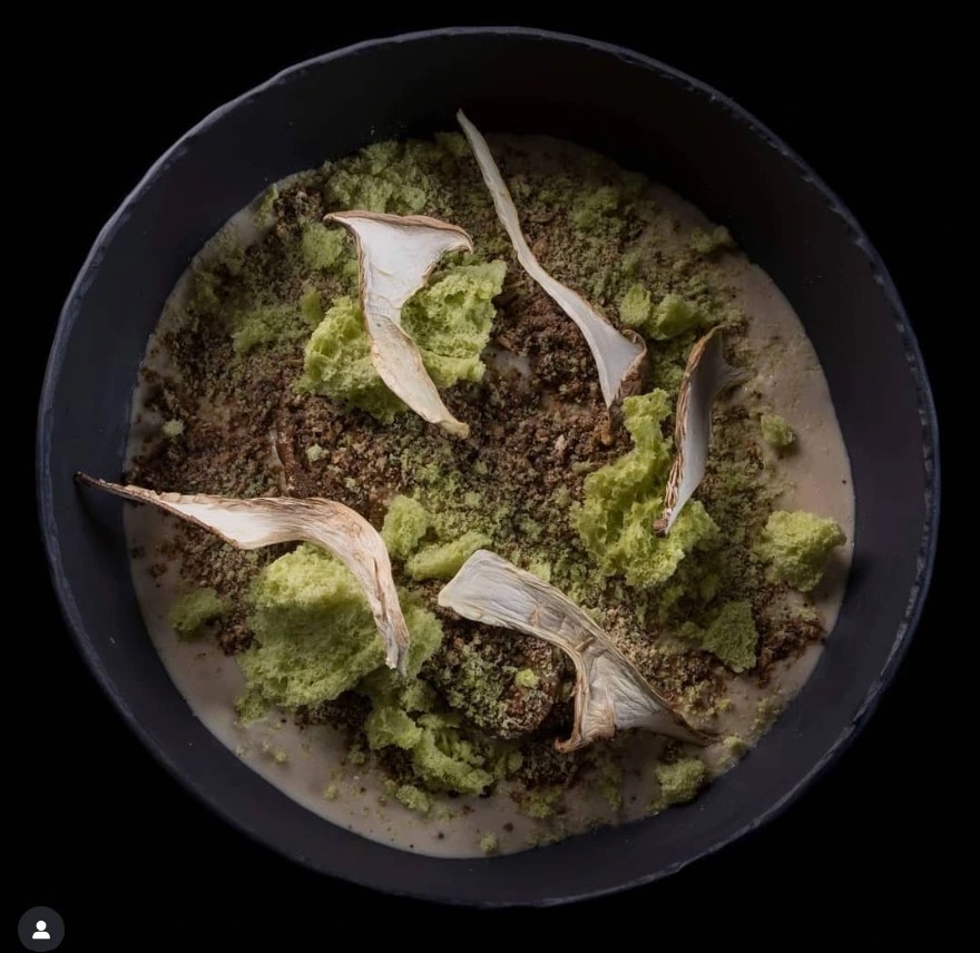 Truffle Experience