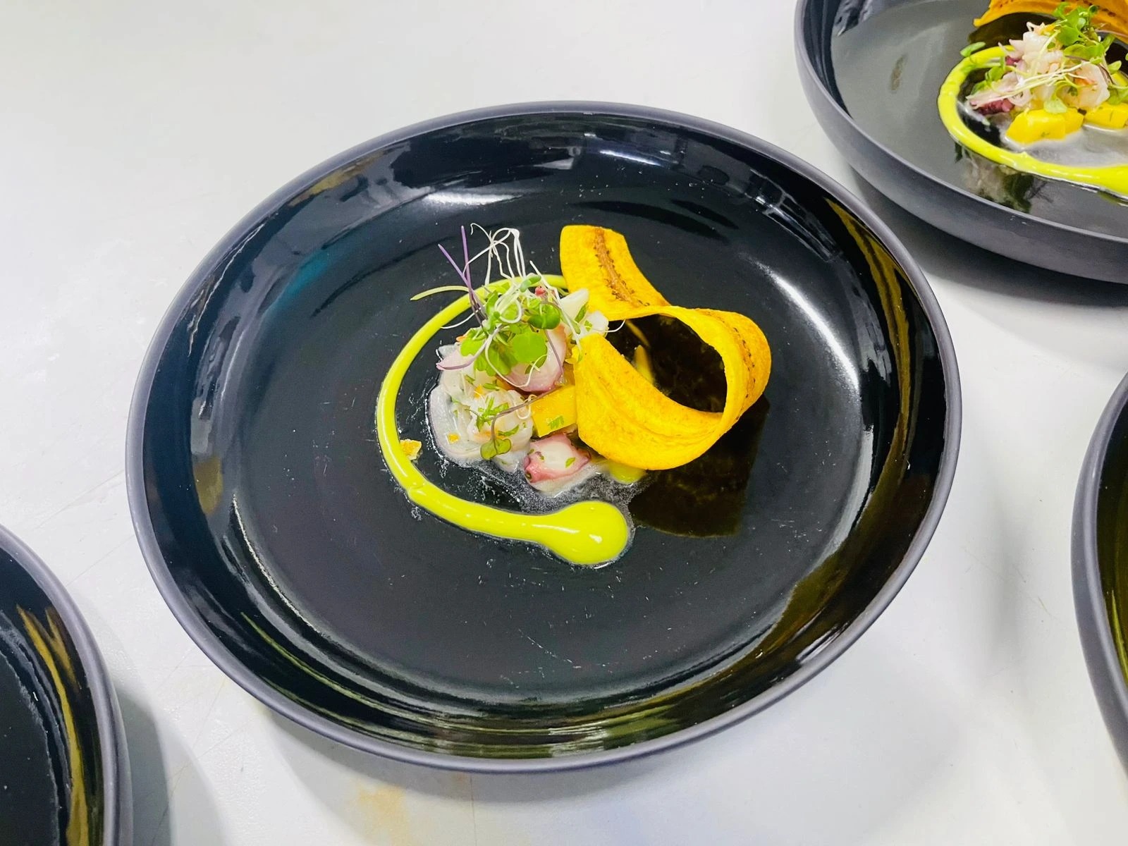 1000270314.jpg 1000270314.jpg