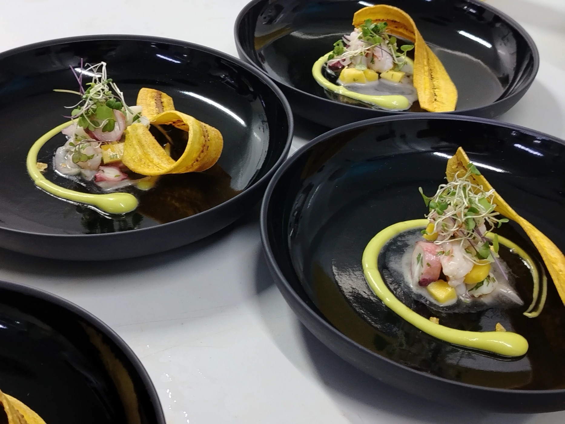 1000269674.jpg 1000269674.jpg