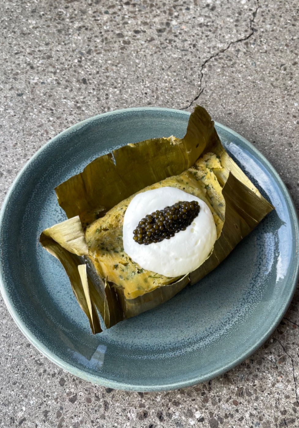 IMG_2468.jpeg IMG_2468.jpeg