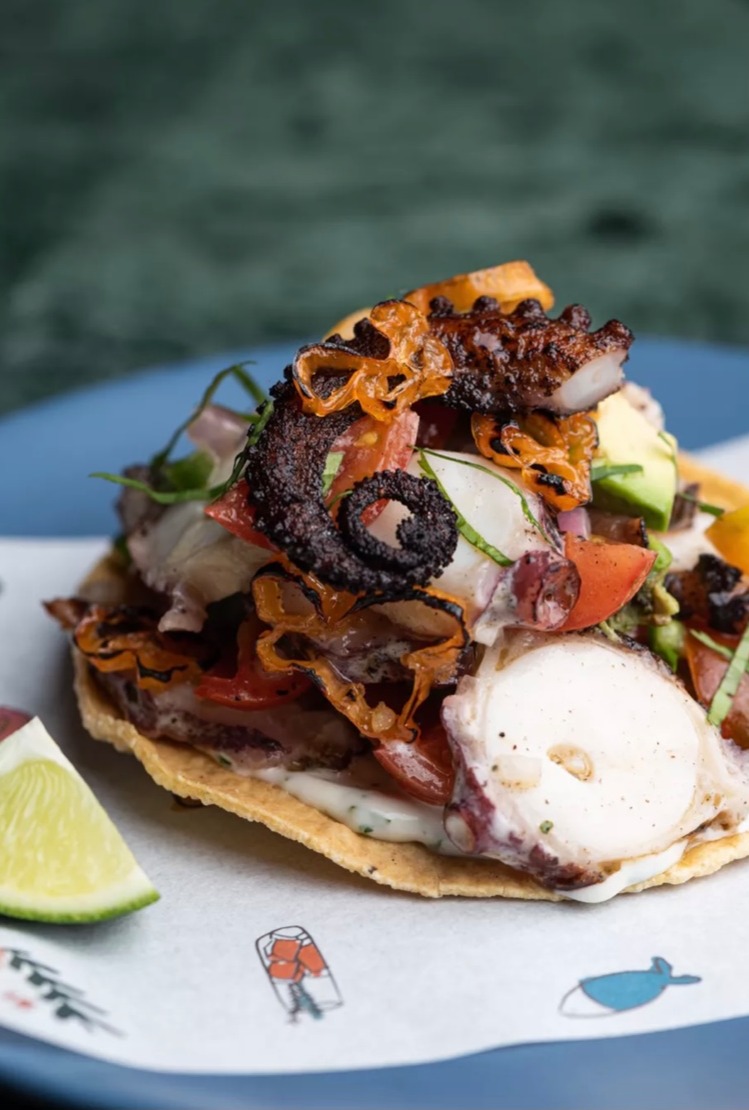 IMG_0919.jpeg IMG_0919.jpeg