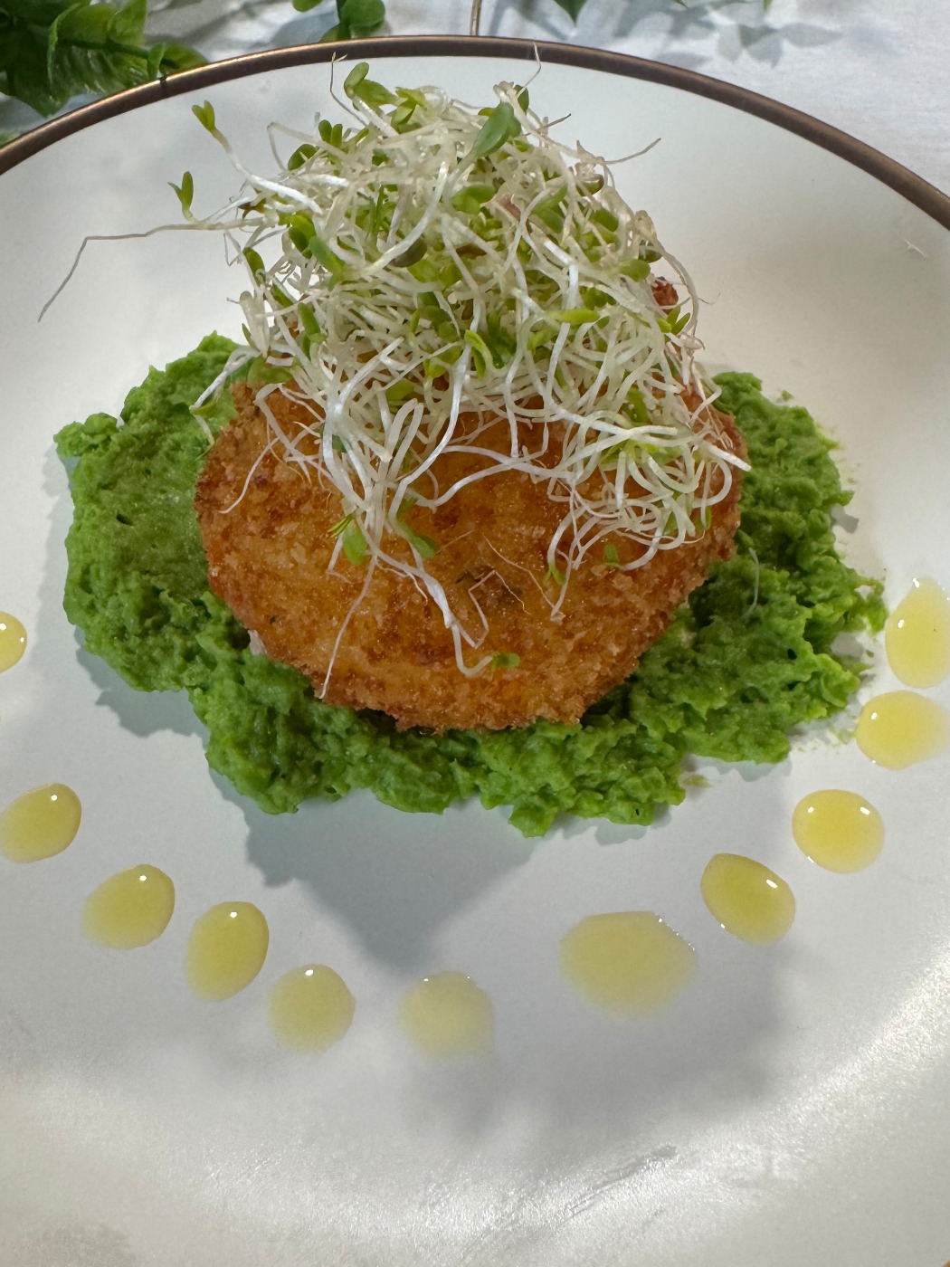 IMG_4324.jpeg IMG_4324.jpeg