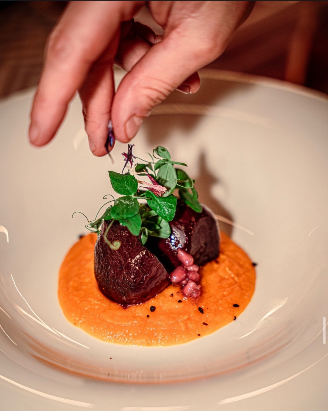 IMG_6466.jpeg IMG_6466.jpeg