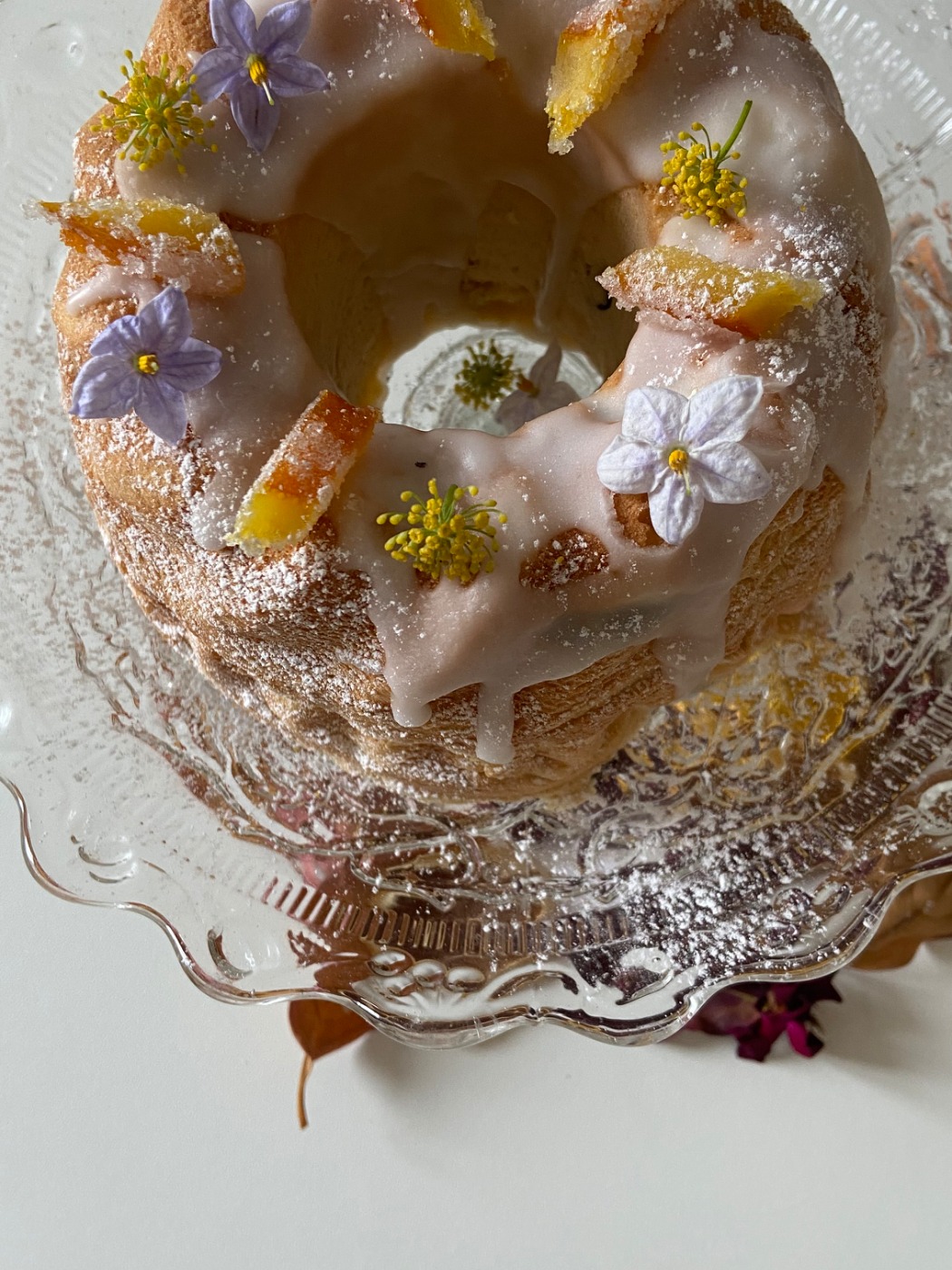 IMG_0374.jpeg IMG_0374.jpeg