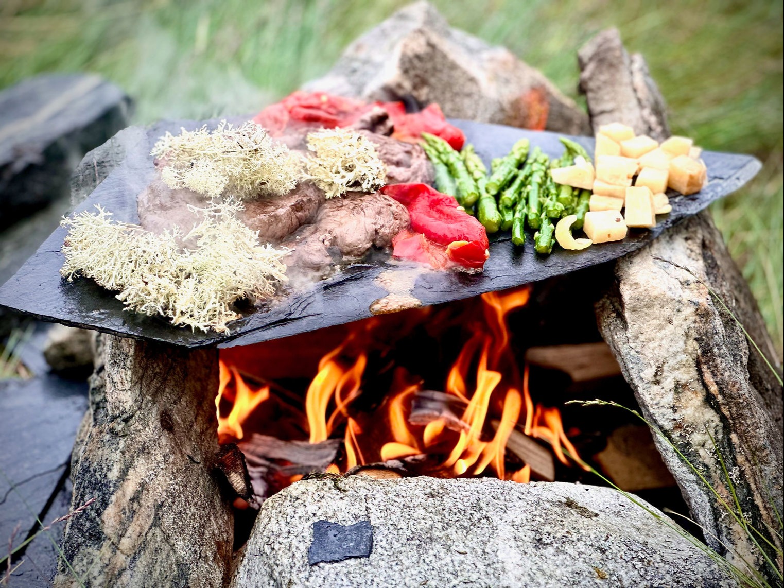 IMG_0481.jpeg IMG_0481.jpeg