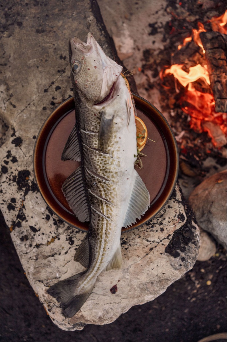 IMG_0492.jpeg IMG_0492.jpeg