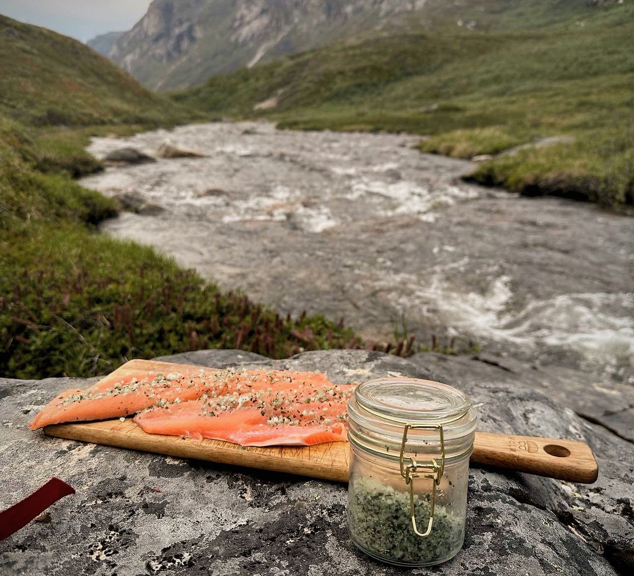 IMG_0480.jpeg IMG_0480.jpeg