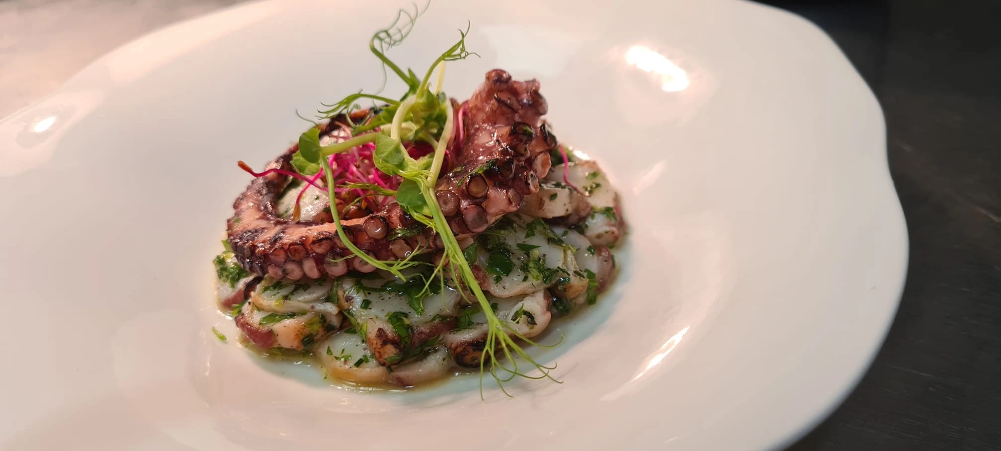 inbound8531517922977777723.jpg inbound8531517922977777723.jpg