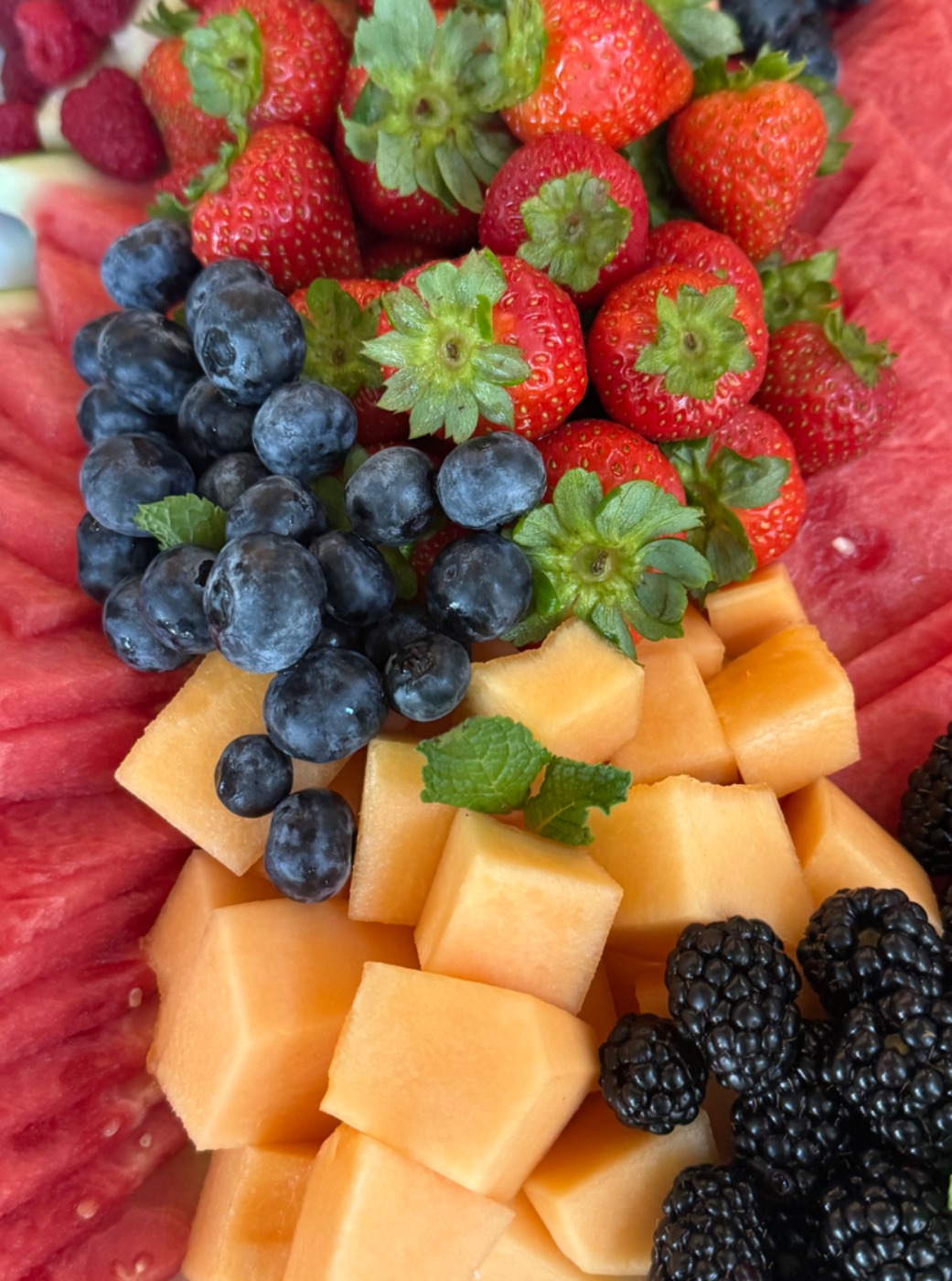 IMG_2442.jpeg IMG_2442.jpeg