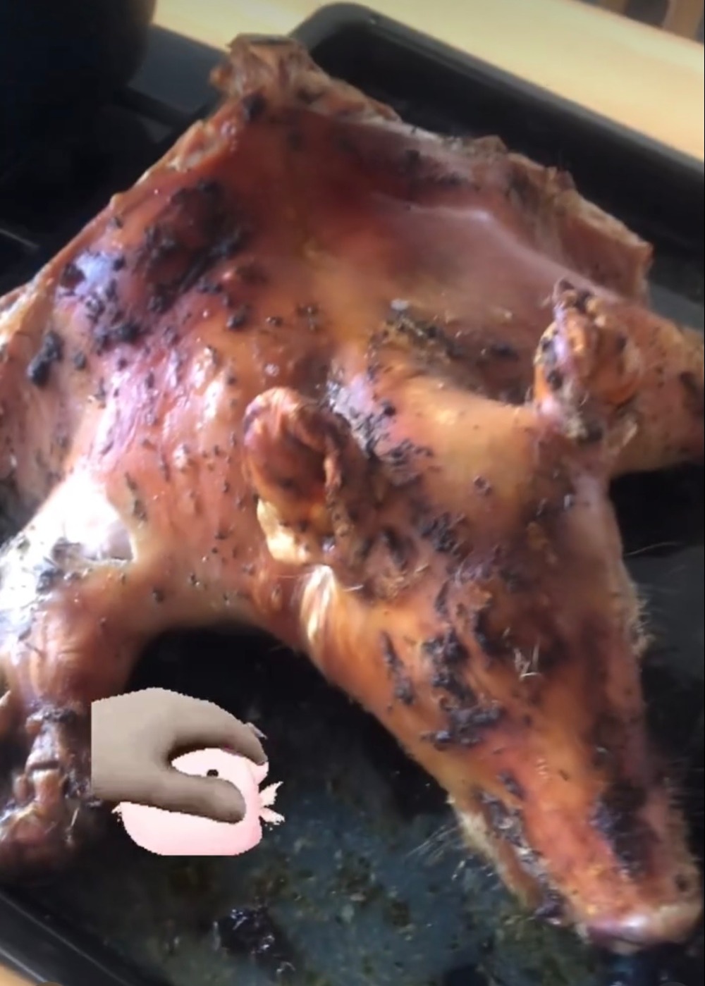 IMG_2591.jpeg IMG_2591.jpeg