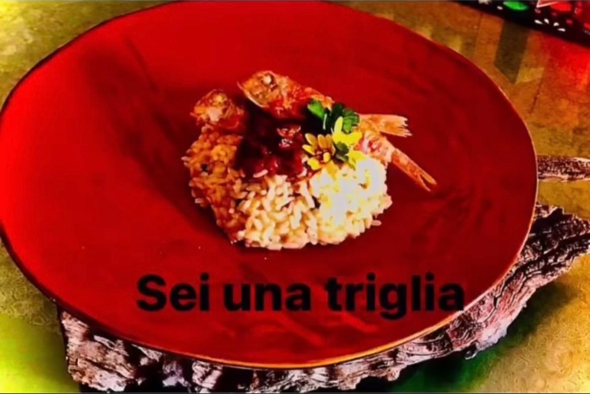 IMG_2586.jpeg IMG_2586.jpeg