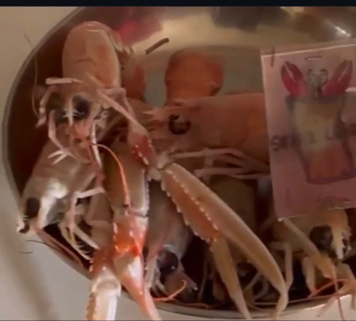 IMG_2593.jpeg IMG_2593.jpeg