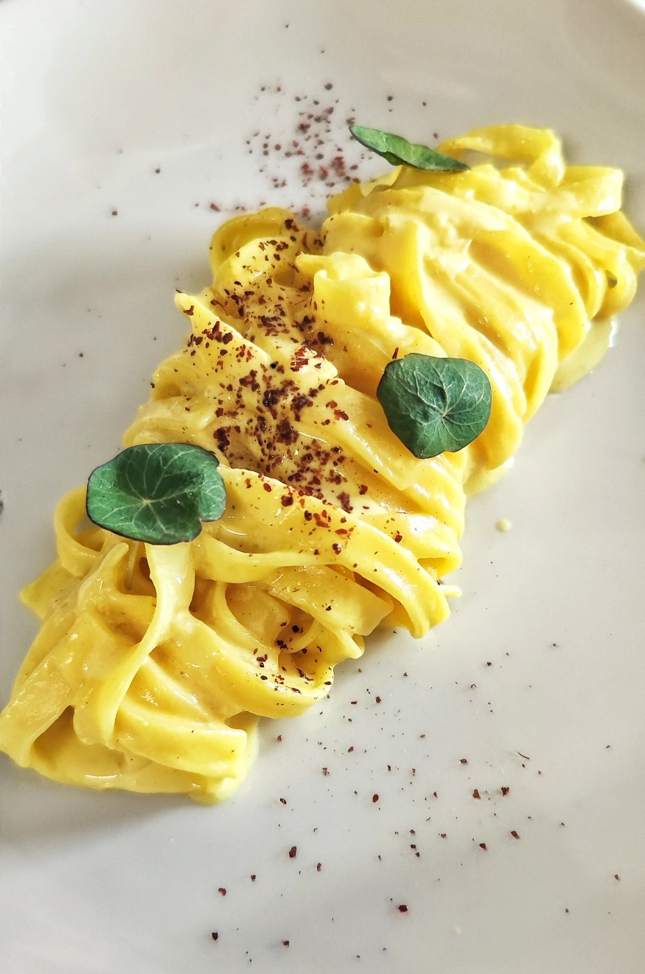 1000104051.jpg 1000104051.jpg