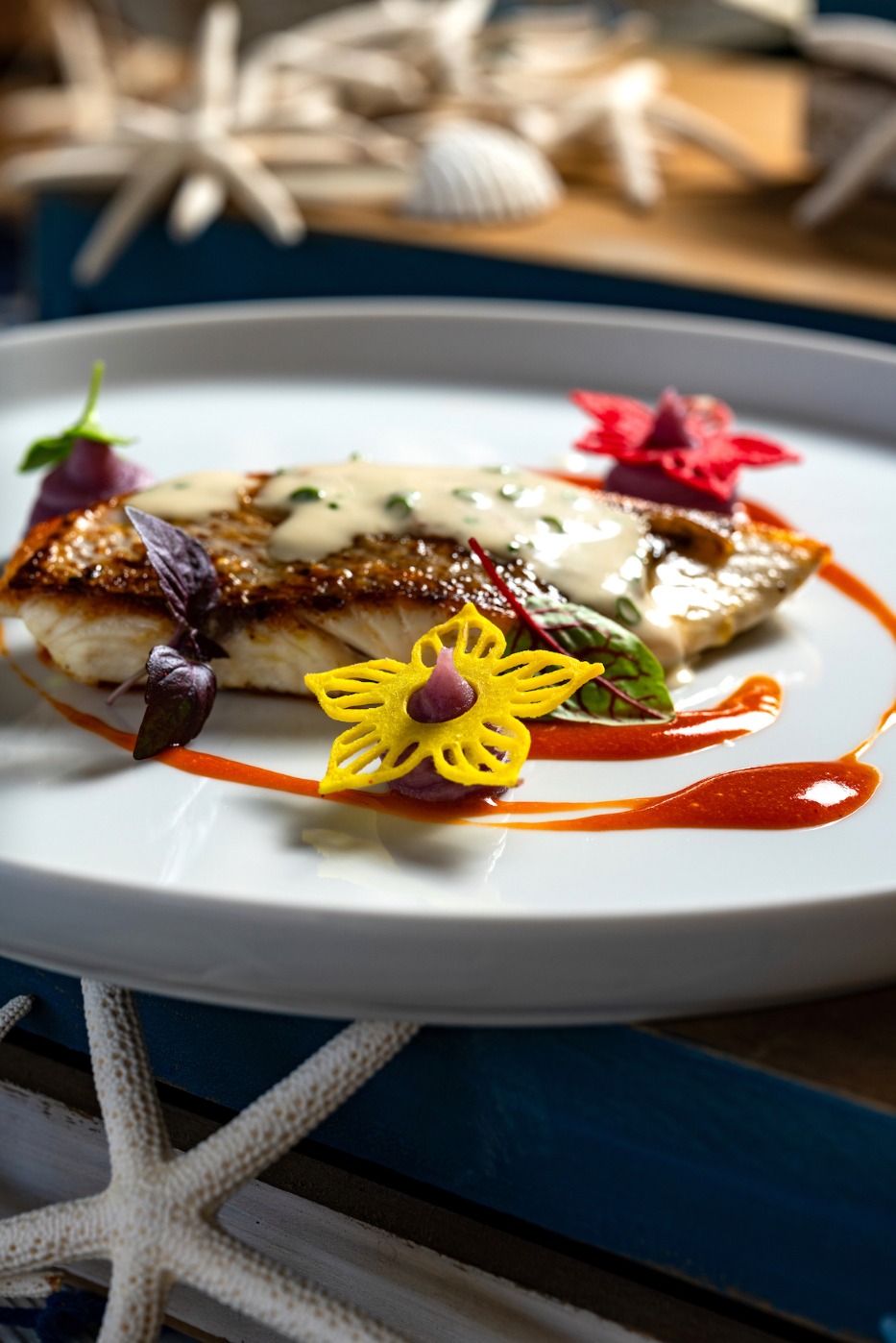 DSC08010.jpeg DSC08010.jpeg