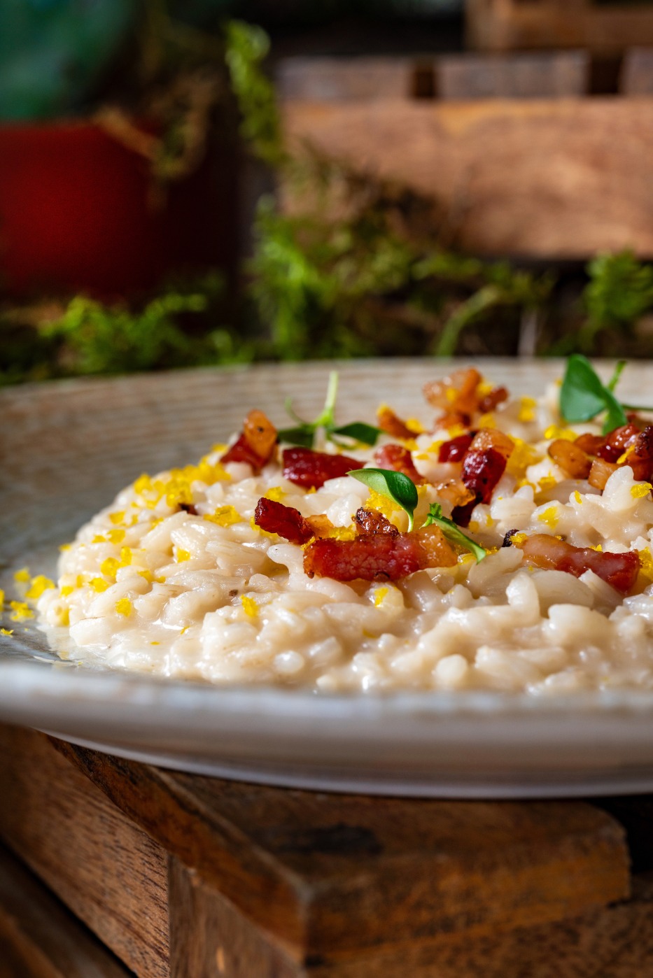 DSC07969.jpeg DSC07969.jpeg