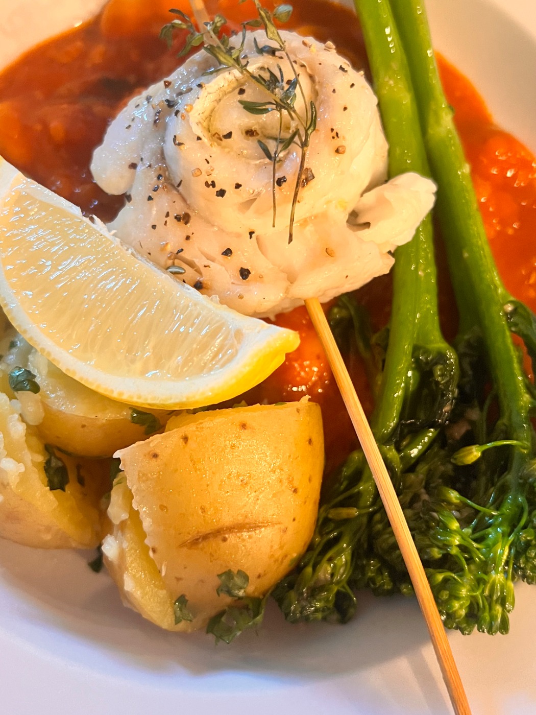 IMG_4240.jpeg IMG_4240.jpeg