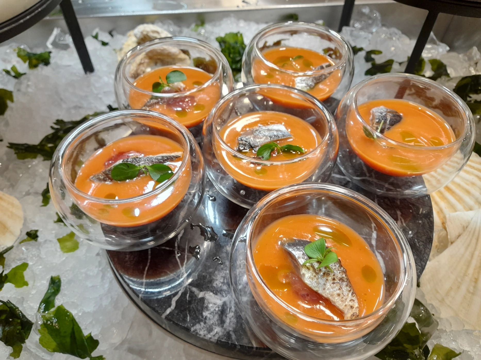 20220829_122247.jpg 20220829_122247.jpg