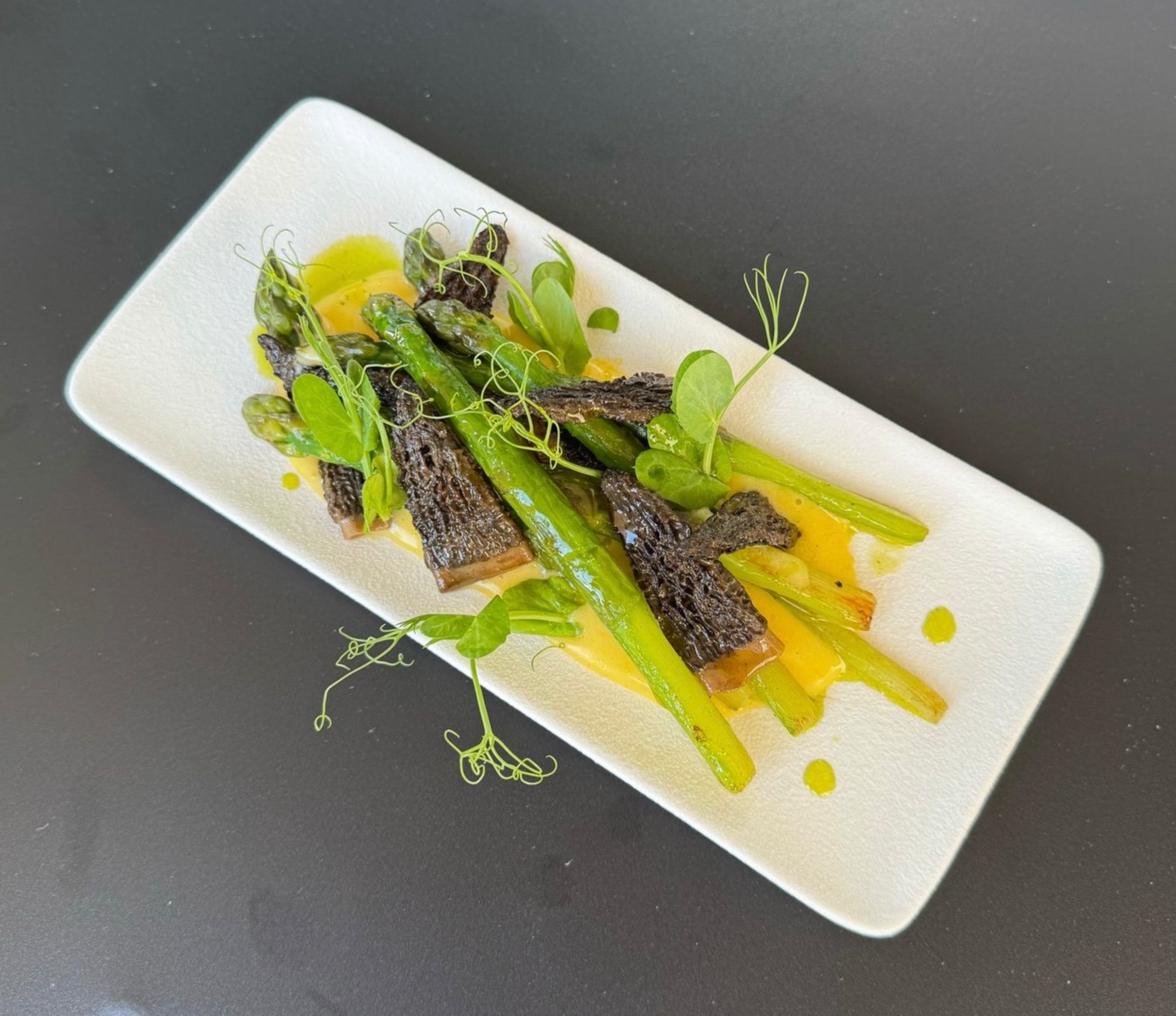 aspargus and morels.jpg