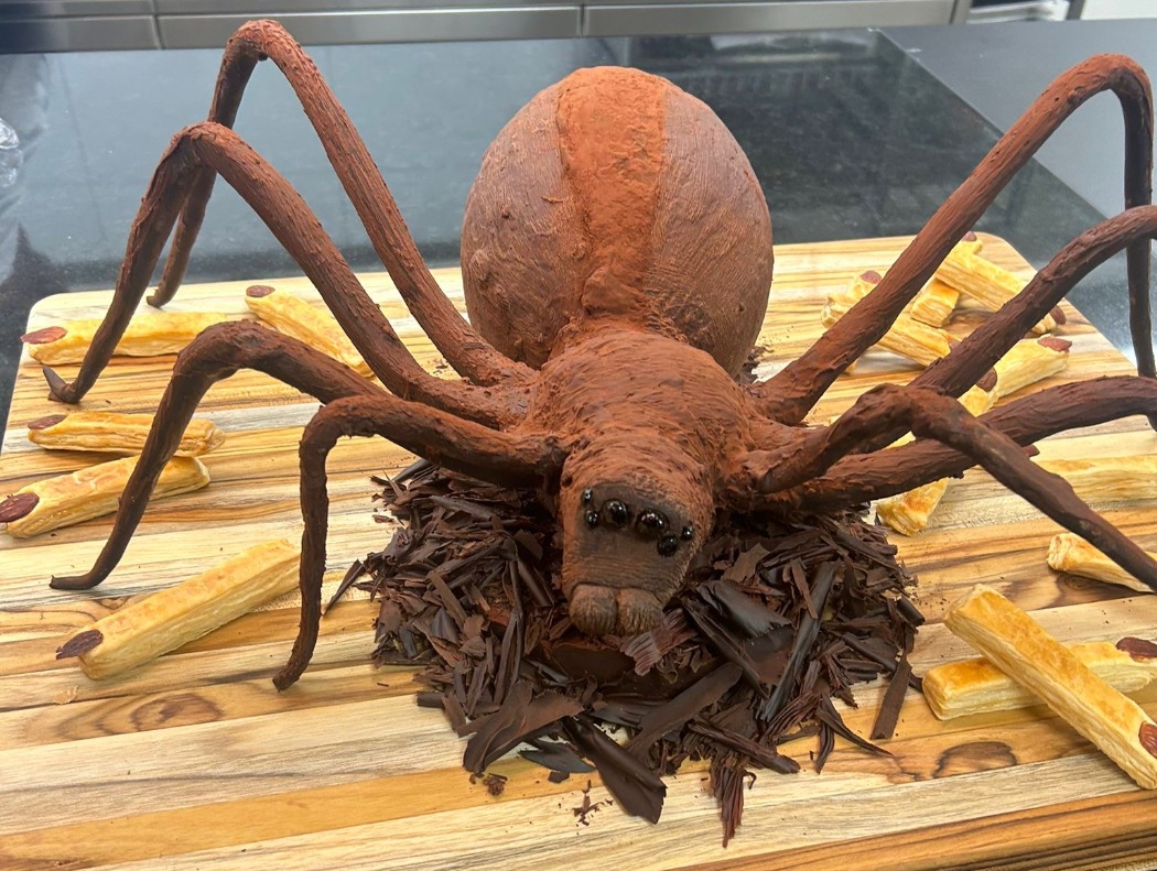 Chocolate spider.JPG